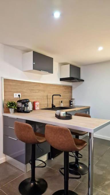 L'Atelier B Magnifique Loft Avec Terrasse Privee Apartman Saint-Etienne  Kültér fotó